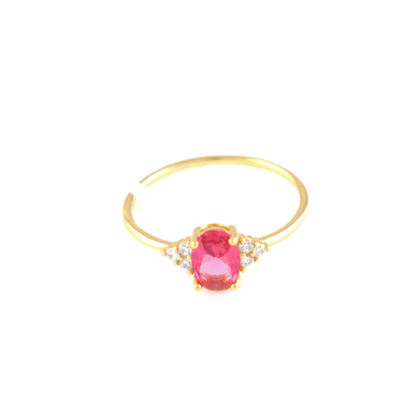 Εικόνα της PINK OVAL