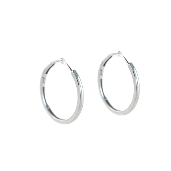 Εικόνα της PLAIN HOOPS