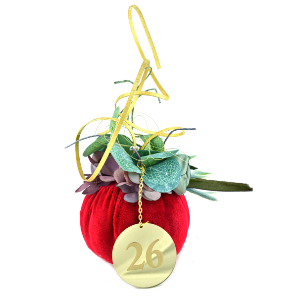 Εικόνα της PUMPKIN RED