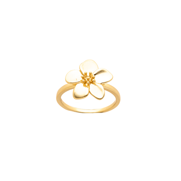 Εικόνα της SPRING RING