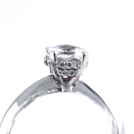 Εικόνα της MATTE GLAM