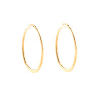 Εικόνα της HOOPS OVAL SHAPE