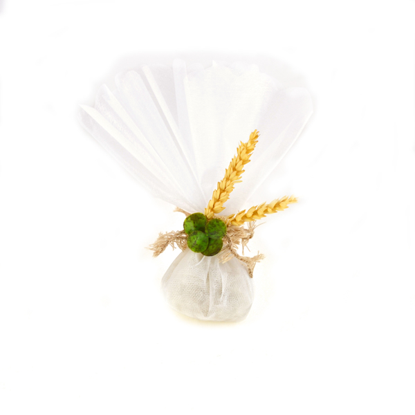 Εικόνα της JUNGLE