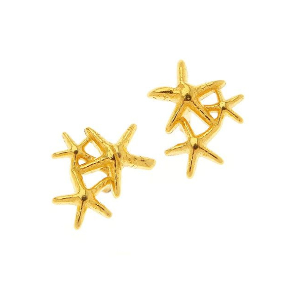 Εικόνα της STARFISH SEA