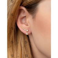 Εικόνα της CLIMBER DROP