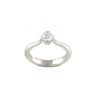 Εικόνα της THE CLASIC RING