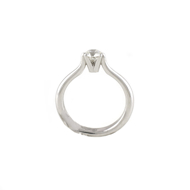 Εικόνα της THE CLASIC RING