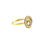 Εικόνα της SWIRL