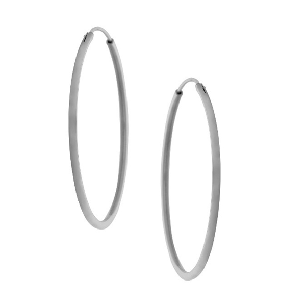 Εικόνα της HOOPS SILVER BIG