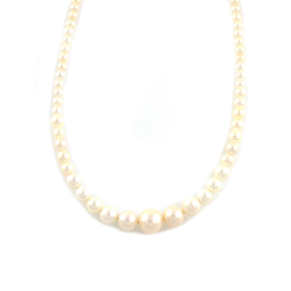 Εικόνα της PEARLS FULLER